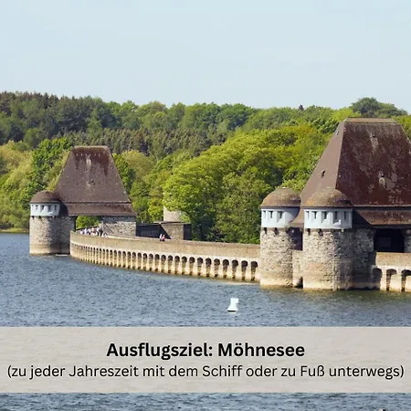 Riese - Sternenzauber *