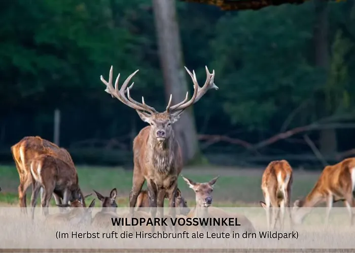 Riese - Sternenzauber Апартаменты